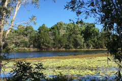 IMG_1128-3116436952-3172207